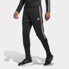 adidas Erkek Eşofman Altı HS1033
