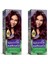 Naturals Saç Boyası Kızıl Kestane 3/66 2x Paket 3