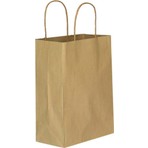 Ecen Plast Kağıt Çanta Hediye ve Alışveriş Çantası 25'li (25X31X12CM)