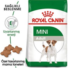Royal Canin Mini Adult 4kg Kuru Köpek Maması
