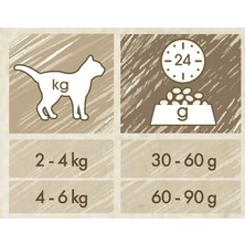 Purina Cat Chow Somonlu Kedi Maması 15 kg