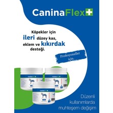 Canina Flex Collagen Glukozamin. 3 Adet Köpekler Için Yeni Nesil Kemik Kas Eklem ve Kıkırdak Desteği.Köpek Gelişim Seti.