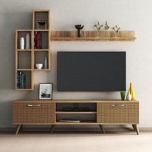 Tanmob Mega 180 Lik Kitaplıklı Raflı Tv Ünitesi Çam Hazeran Kapaklı - TVU0304