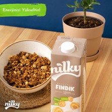 Nilky Fındık Sütü Glütensiz Bitkisel Bazlı Laktosuz Vegan 12x1 lt