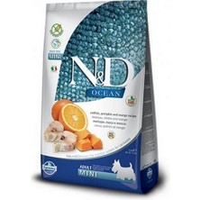 N&D Nd Ocean Balkabaklı Morina Balıklı ve Portakallı Tahılsız Küçük Irk Yetişkin Köpek Maması 2,5 kg