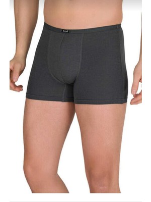 Berrak 4488 Berrak Modal Ince Lastikli Boxer Tekli