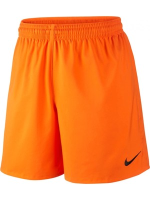 Nike Erkek Şort 473829-815