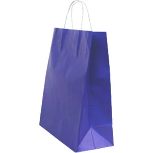 Ecen Plast Lacivert Çanta 25X12X31 ( 25 Adet ) ( Kağıt Poşet Çanta )