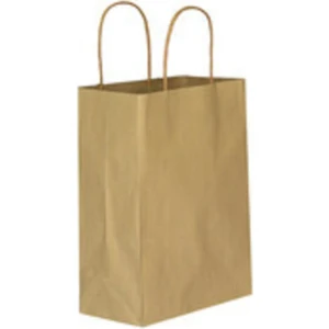 Ecen Plast Burgu Saplı Karton Kraft Çanta 25 Adet