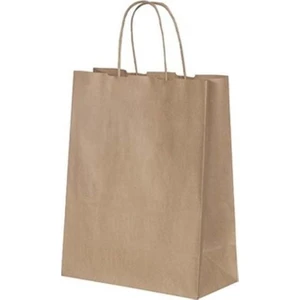 Ecen Plast Burgu Saplı Kraft Kağıt Çanta 19X8X24 CM25'LI