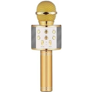 Karaoke Mikrofon Dahili Hoparlörlü USB Flash Destekli WS-858 Gold