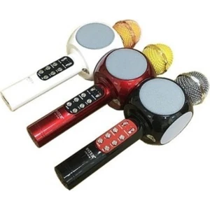 PL-2466 Bluetooth Karaoke Mikrofon Sd-Usb
