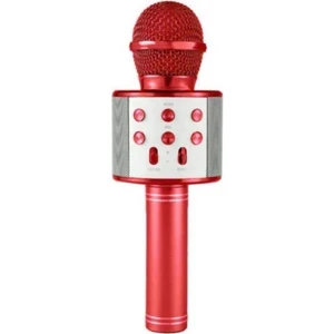 WS858 Karaoke Mikrofon Radyolu