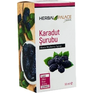 Herbal Palace H.p Karadut Şurubu