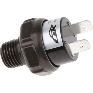 12V Trompet Tren Kompresör Hava Basınç Anahtarı Npt1/4 "70-100Psı Npt 70-100Psı (Yurt Dışından)