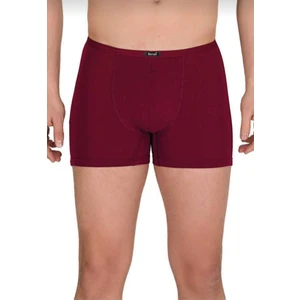 4488 Berrak Modal Ince Lastikli Boxer 3 Lü