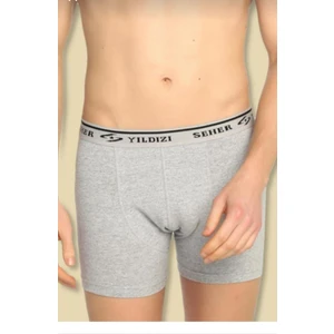 Seher Yıldızı 0060 Seher Yıldızı Erkek Likralı Tekli Boxer