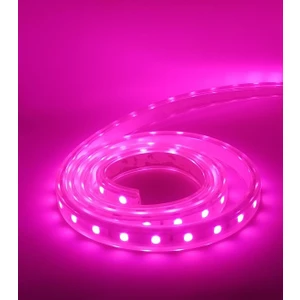 3 Çipli İç Dış Mekan Silikonlu Şerit Led 220V - 1 Metre Double Pcb - Double Çip Mor