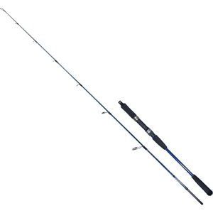 Ryuji Strobe Iı 1.98M 40-110GR 2p Jig Olta Kamışı