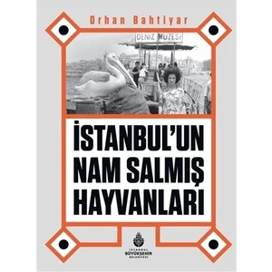 Istanbul’un Nam Salmış Hayvanları