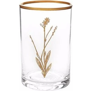 Botanical Mini 3'lü Bardak Takımı 100CC 2'li 04FIA002500