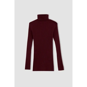 Regular Fit Boğazlı Triko Kazak Z9566AZ22AU