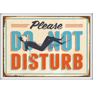 Retro Ahşap Levha " Do Not Dısturb" 25X35CM Mdf