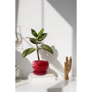 Tabaklı Kırmızı Tombul Çömlek Saksı 22X21 cm