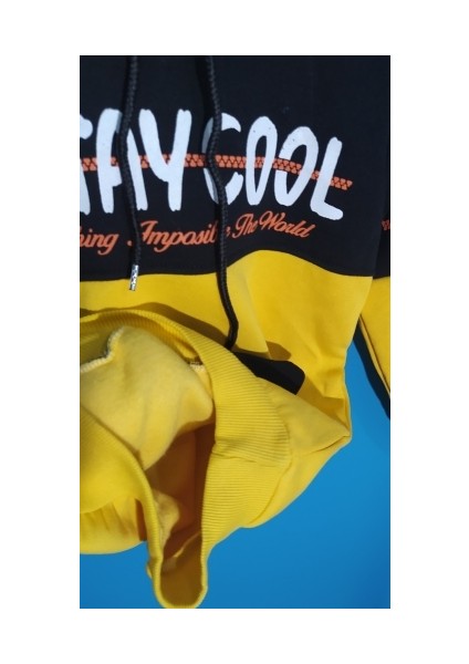 Kışlık Üç Iplik Şardonlu Erkek Çocuğu Sweatshirt fiyatları