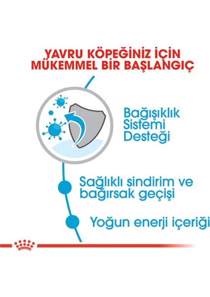 Xsmall Puppy 1.5 kg fırsatları