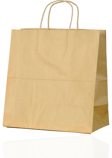 29*15*29 100'LÜ Çanta Kahverengi Burgu Saplı Kağıt Çanta