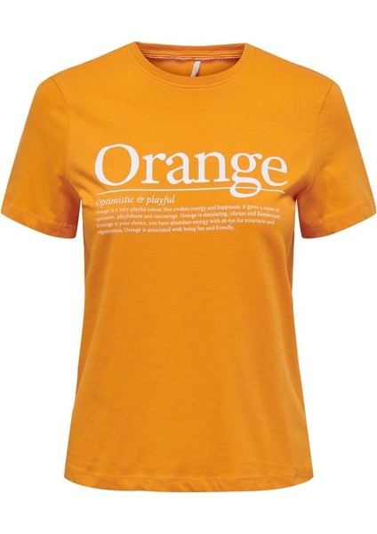 Onlcolour Reg S/s Top Box Jrs T-Shirt fiyatları
