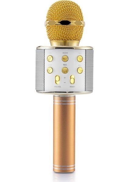 Star 2023 Karaoke Altın Sarısı Mikrofon