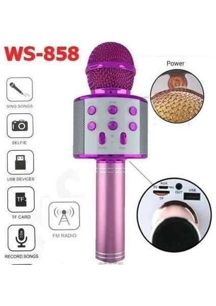 WS-858 Profesyonel Ses Kaydı Yapabilen Eğlenceli Karaoke Mikrofon WS858 Pembe