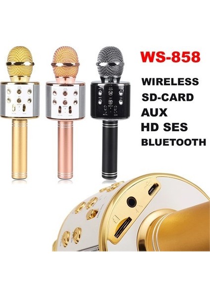WS-858 Karaoke Mikrofon