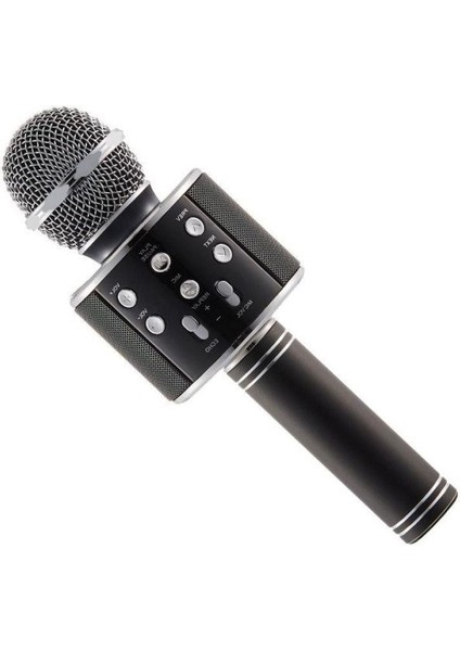 WS-858 Karaoke Mikrofon fiyatları