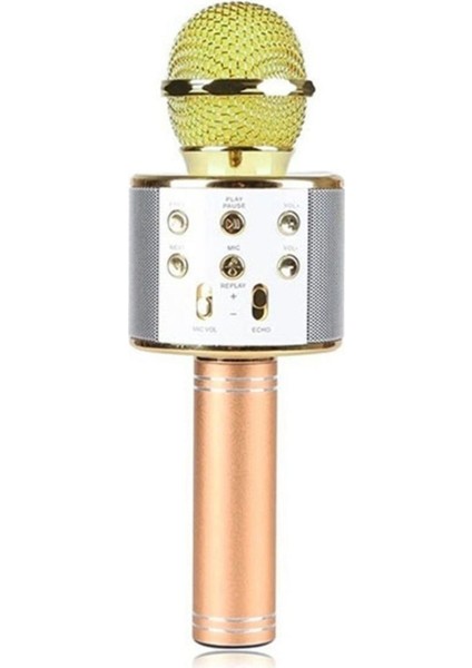 Profesyonel Bluetoothlu Karaoke Mikrofon - Aux Sdcard - Gold