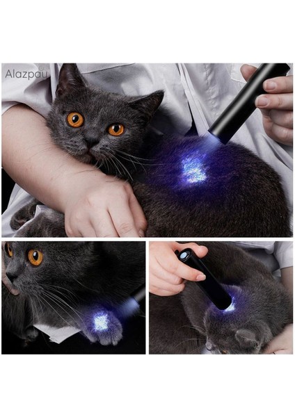 Kedi Oje Tirnak İdrar Dişki Tespiti 365nm Şarj Edilebilir UV LED El Feneri