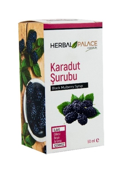 H.p Karadut Şurubu