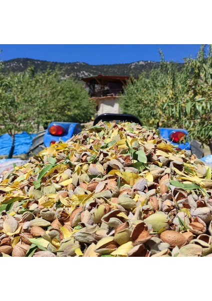 Çiğ Badem İçi 1 KG