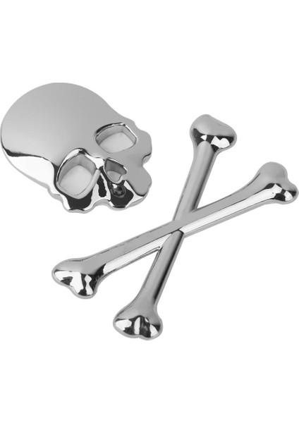 3D Kafatası Er (Yurt Dışından)