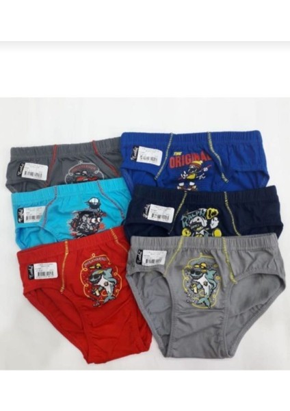 0138 Renkli Erkek Çocuk Külot 6 Lı