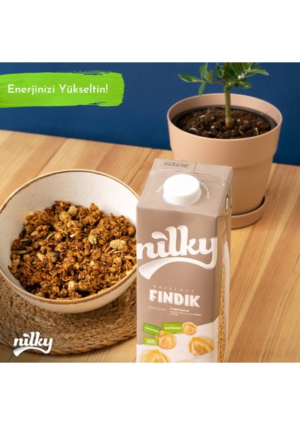 Fındık Sütü Glütensiz Bitkisel Bazlı Laktosuz Vegan 1 lt