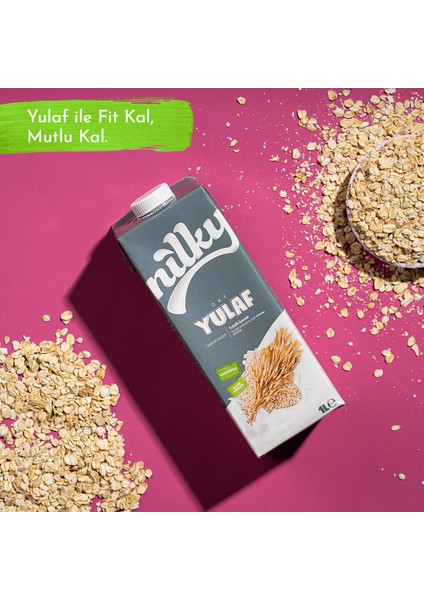 Yulaf Sütü Bitkisel Bazlı Laktosuz Vegan 12x1 lt