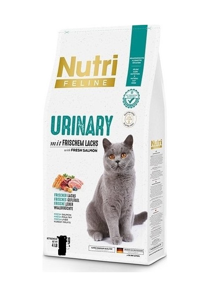 Adult Urinary Idrar Sağlığı Somonlu Yetişkin Kedi Maması 1 kg