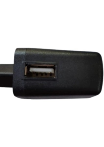 Dc 4.2VOLT 0.5 Amper Adaptör USB Girişli Kafa Lambası Şarj Aleti Radyo Şarj Aleti LED Adaptörü