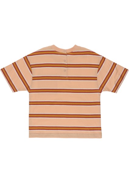 Erkek Bebek Kısa Kollu T-Shirt 2311BB05011 fiyatları