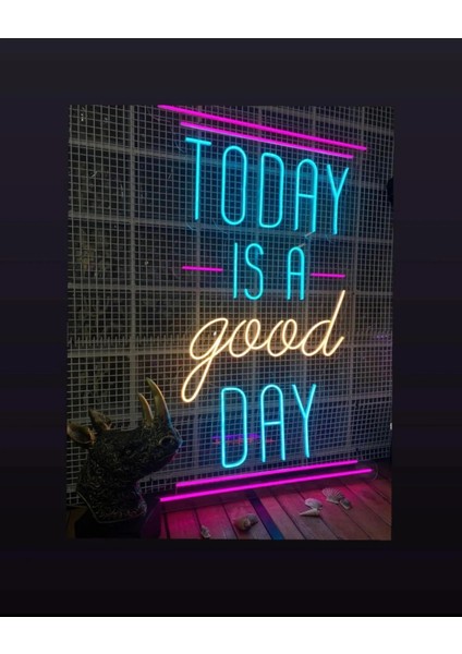 Today Is A Lively Day Neon LED Tabela