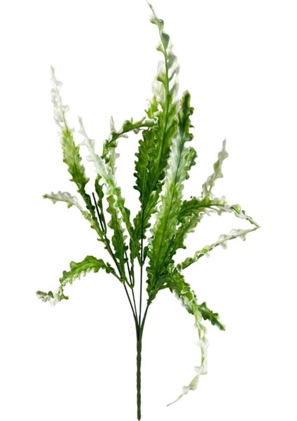 Yapay Çiçek Kıvırcık Saz Yeşil Beyaz 5 Dallı 40*20CM Aradal Garnitür Çiçek