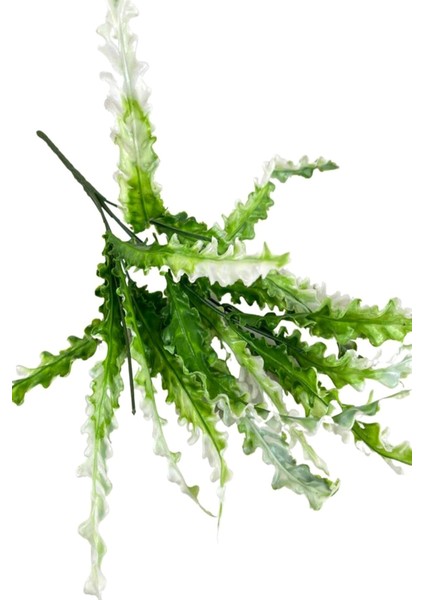 Yapay Çiçek Kıvırcık Saz Yeşil Beyaz 5 Dallı 40*20CM Aradal Garnitür Çiçek fiyatları